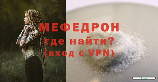 прущие грибы Новозыбков