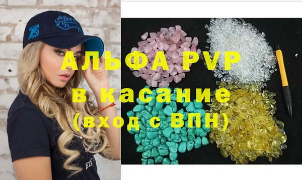прущие грибы Новозыбков