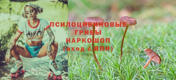 прущая мука Аркадак
